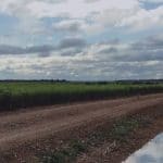 Farm Surface Water Management Workshop