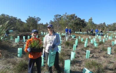 2000 Reasons to Celebrate National Tree Day 2019