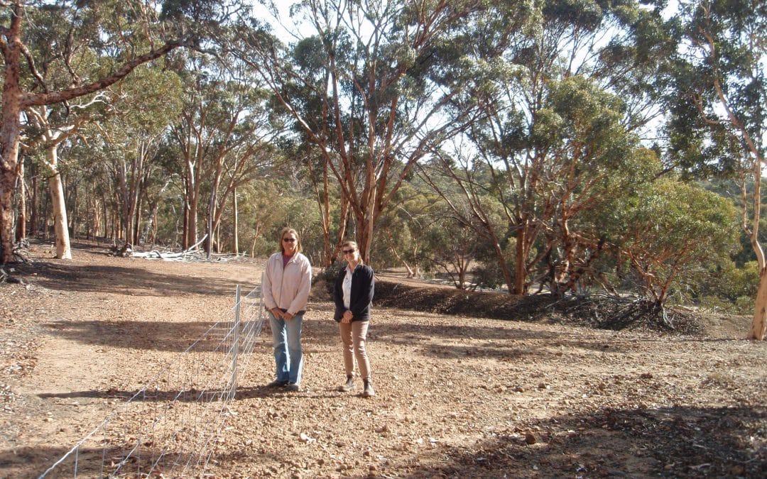 Hotham-Williams Landcare Matters #35
