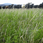 Regenerative Agriculture Conference