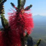 2019 WA NRM and Coastal Conference