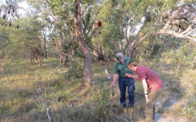 Planning for our Banksia Woodlands