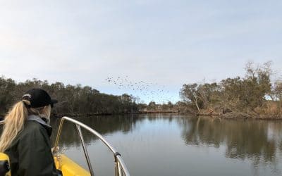 Connecting Corridors and Communities Edition #4