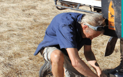Fertilising the Farm