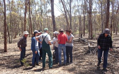 Numbat Dig Workshop