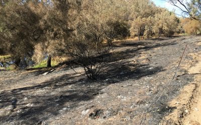 Supporting Our Serpentine River Landholders