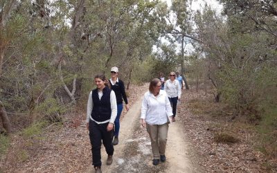 Banksia bush block gets vitamin boost against dieback disease