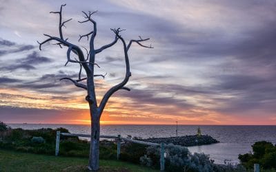 An Evening Spent Celebrating Sculptures by the Sea