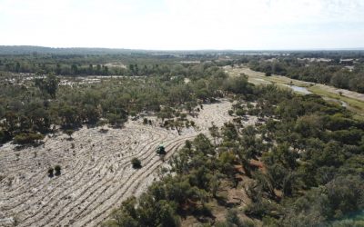 Karu Bilya Restoration Works begin!