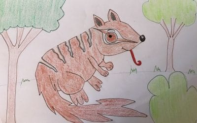 Move over Easter Bunny there is a Numbat in Town!