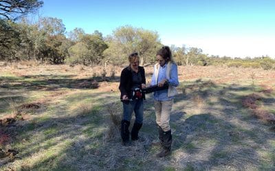 Vegetation Condition Monitoring Underway