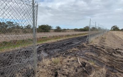 Unauthorised access causes damage