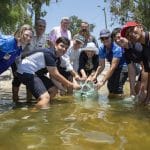 Science Week - Breaming with Opportunities