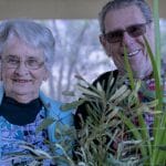 Lake Clifton Seedling Giveaway