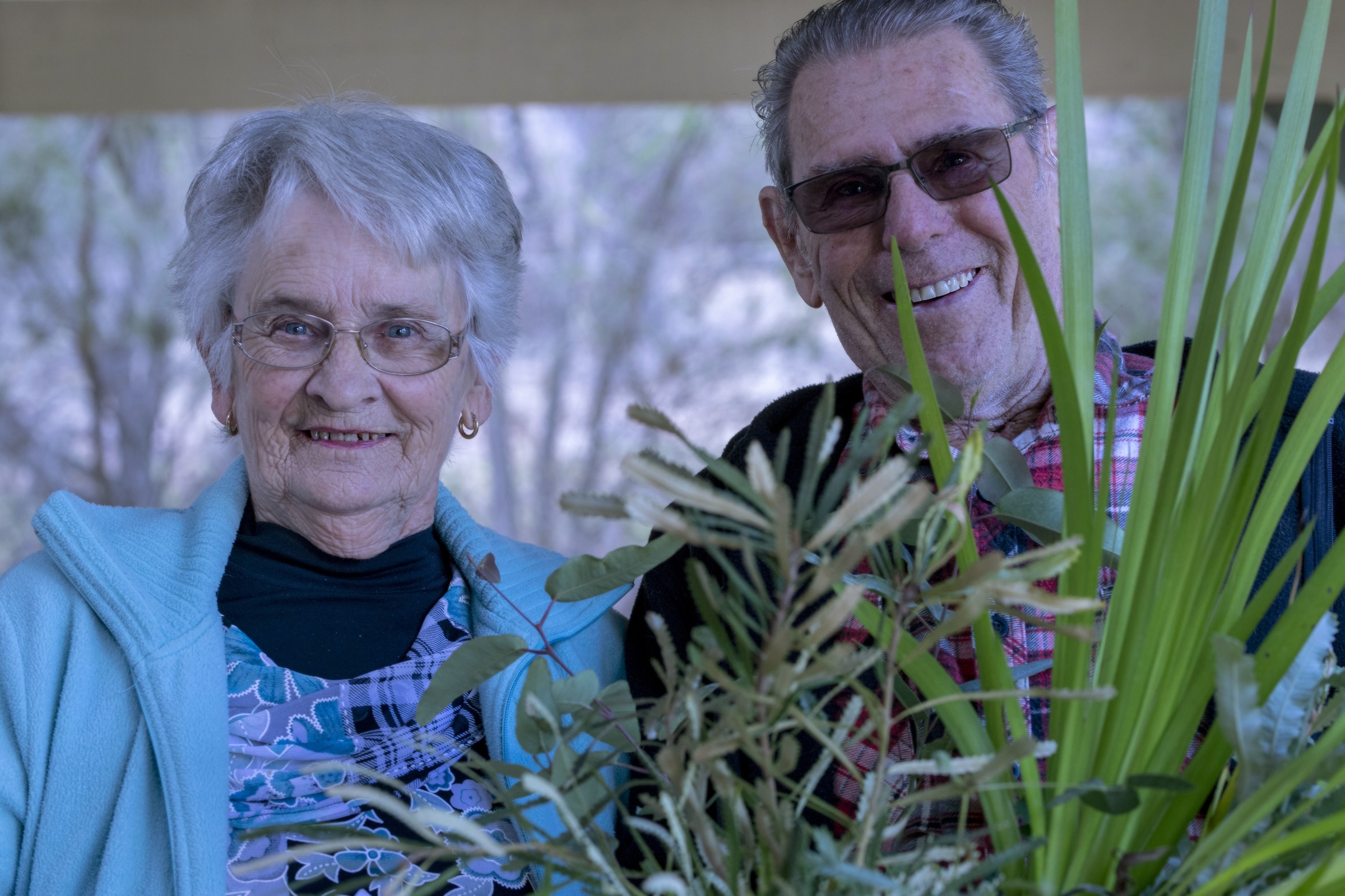 Lake Clifton Seedling Giveaway