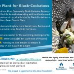 Help Plant for Black Cockatoos