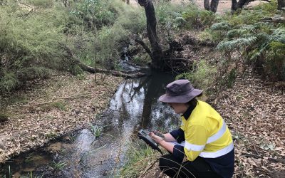 Connecting Corridors and Communities – Developing a River Action Plan:  Case Study 38