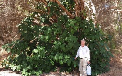 Local landowners support environmental work in our Ramsar wetlands