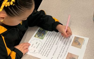 Students Continue to Learn About Dung Beetles