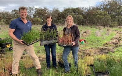 Working Together to Restore Our Environment