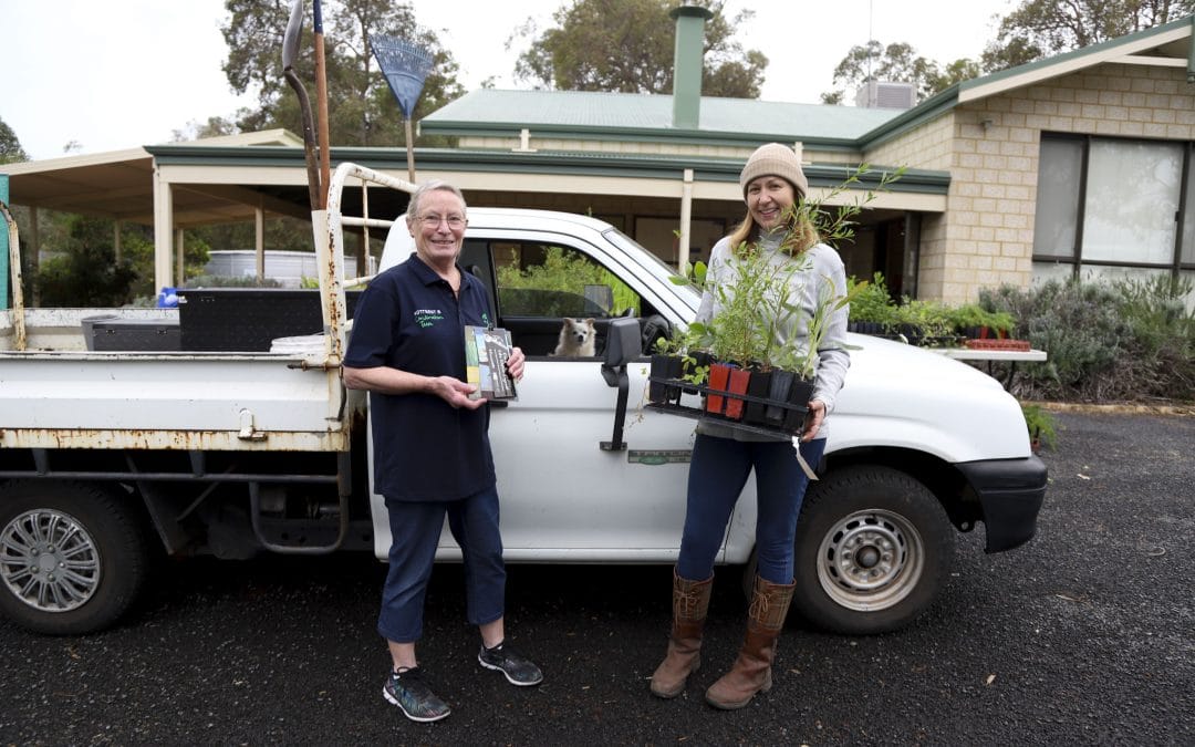 Drive-through Seedling Giveaway a huge success