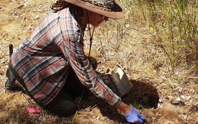 Control of Feral Animals on the Serpentine River
