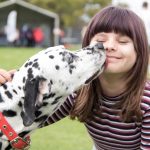 Wetlands Weekender - Dogs Breakfast