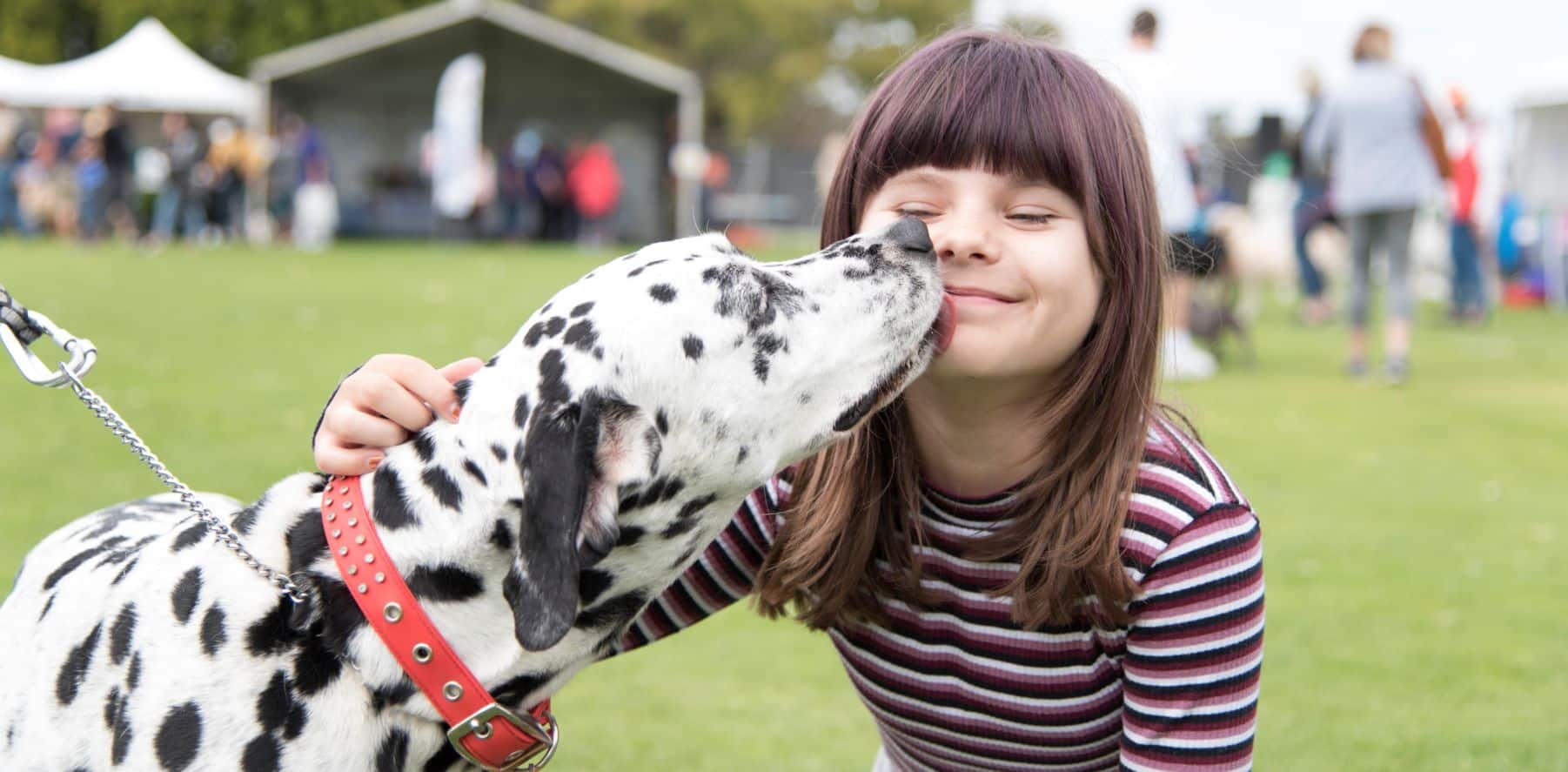 Wetlands Weekender - Dogs Breakfast