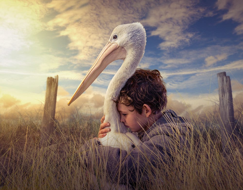 Wetlands Weekender - Movie Night + Ramsar Talk