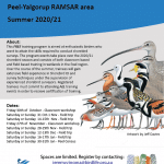 BirdLife Advanced Shorebird Training Program