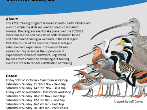 BirdLife Advanced Shorebird Training Program