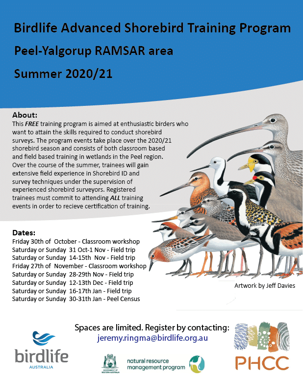 BirdLife Advanced Shorebird Training Program