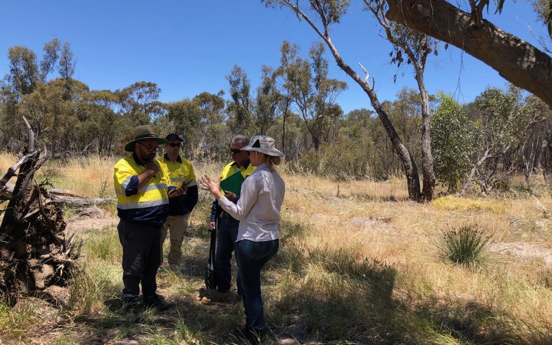 Mapping Weeds in Numbat Country