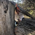 Hotham-Williams Christmas Meet and Greet