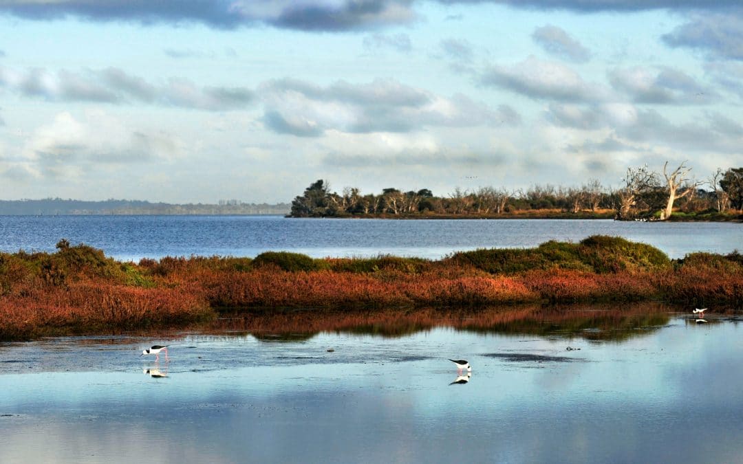 Ramsar turns 50 as COVID-19 tries to crash the party
