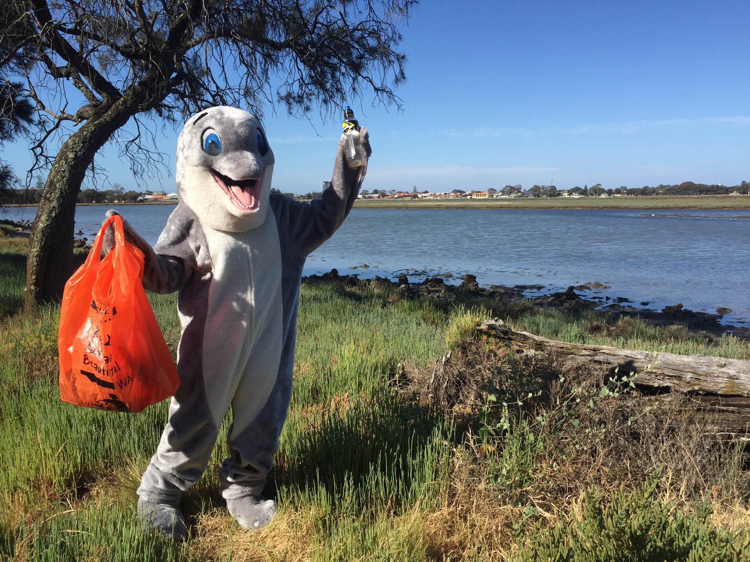 Clean Up the Peel: Creery Wetlands Nature Reserve