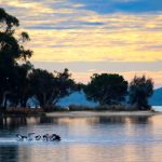 Clean Up the Peel: Island Point Reserve