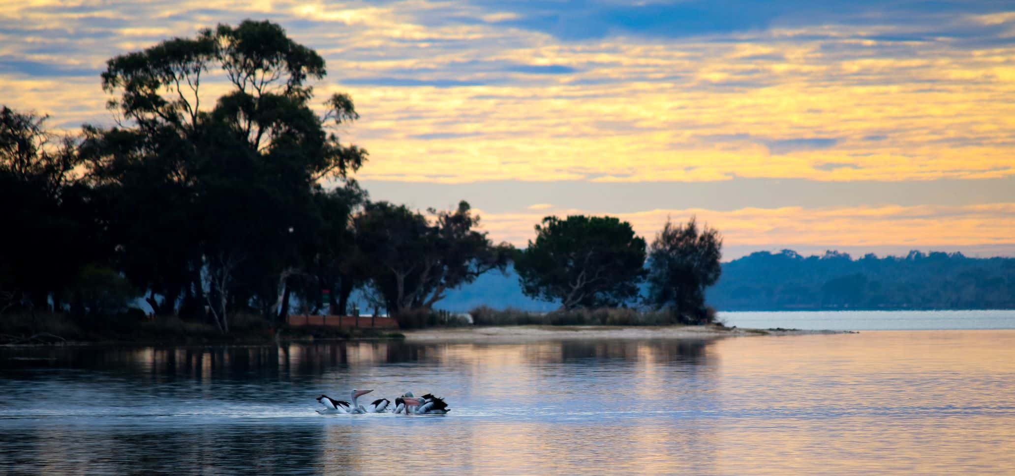 Clean Up the Peel: Island Point Reserve