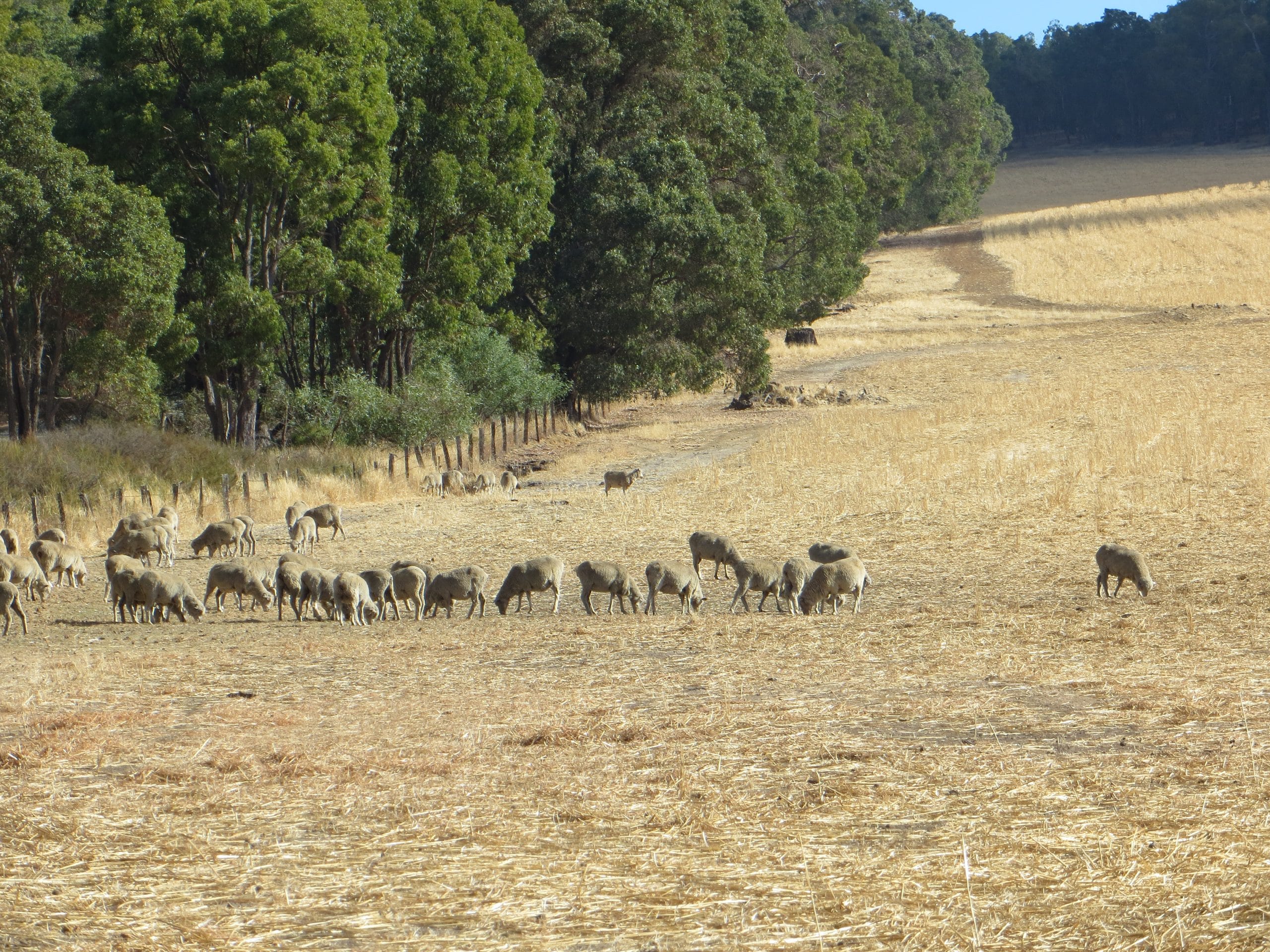Bushland Management Workshop
