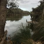 The Value of Nature: Your Solutions for the Future