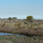 Clean Up the Peel: Len Howard Conservation Park
