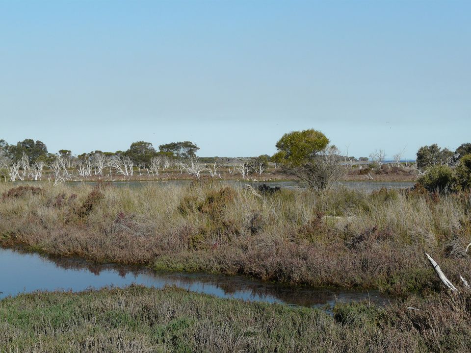 Clean Up the Peel: Len Howard Conservation Park