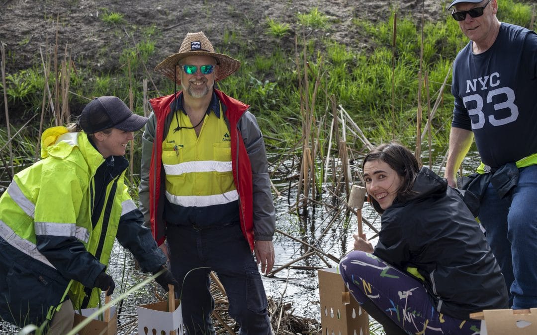 Lend a Hand for Riverlea Woodland (Planting Day)