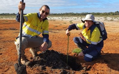 Acid Sulfate Soil Field Work Investigations Complete at Lake McLarty