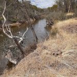 River Action Plan Community Consultation Session Cuballing