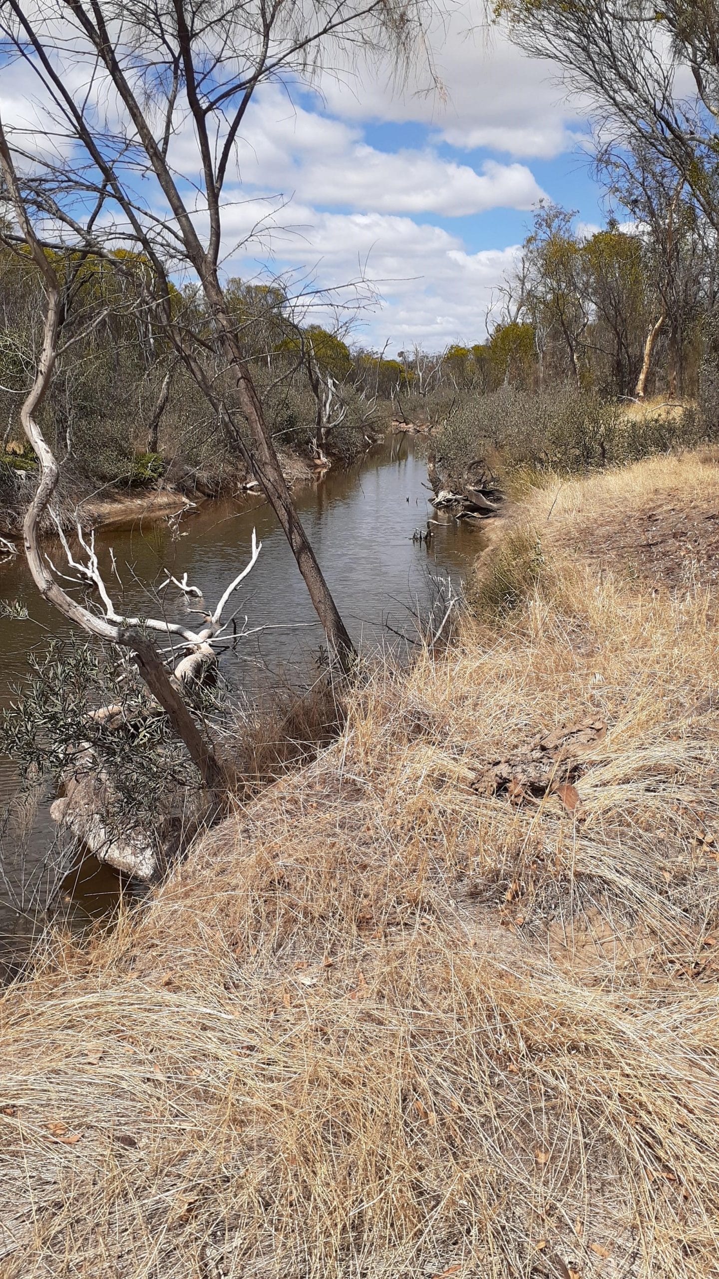 River Action Plan Community Consultation Session Cuballing