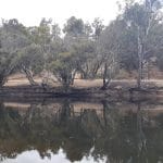 River Action Plan Community Consultation Session Boddington