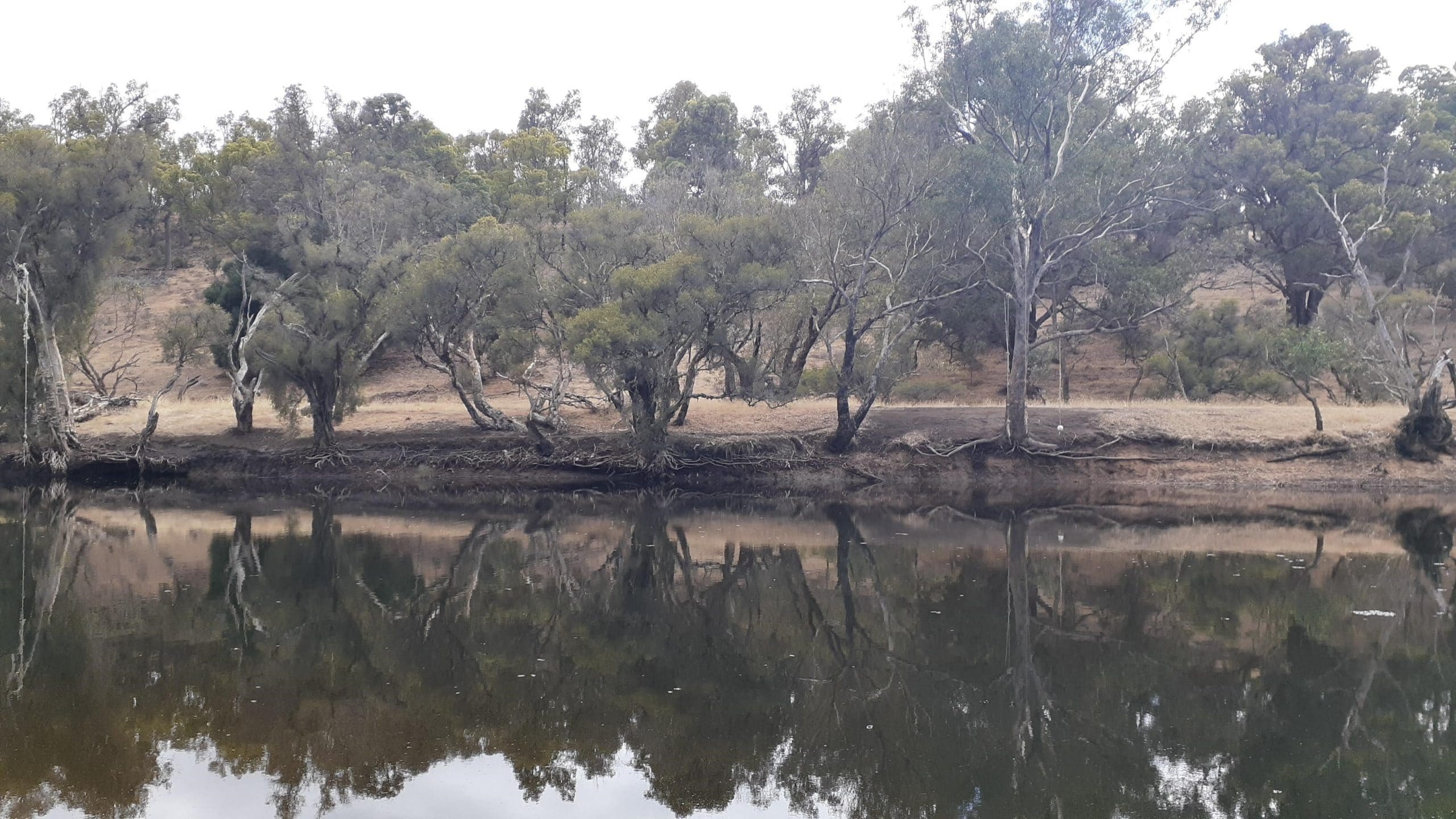 River Action Plan Community Consultation Session Boddington