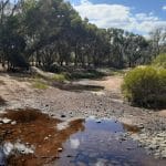 River Action Plan Community Consultation Session Williams