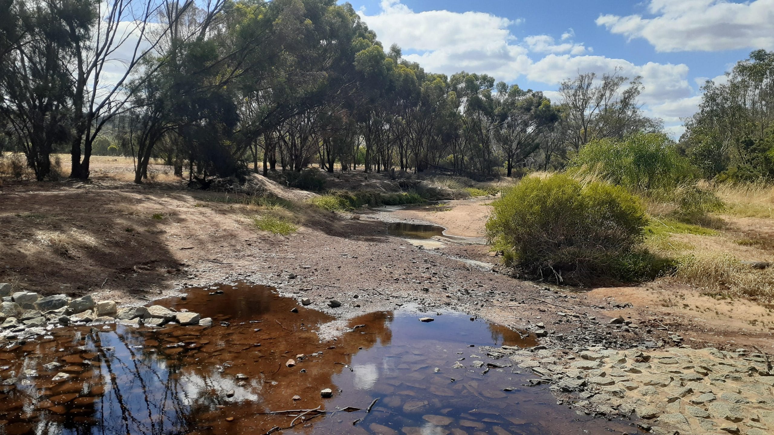 River Action Plan Community Consultation Session Williams